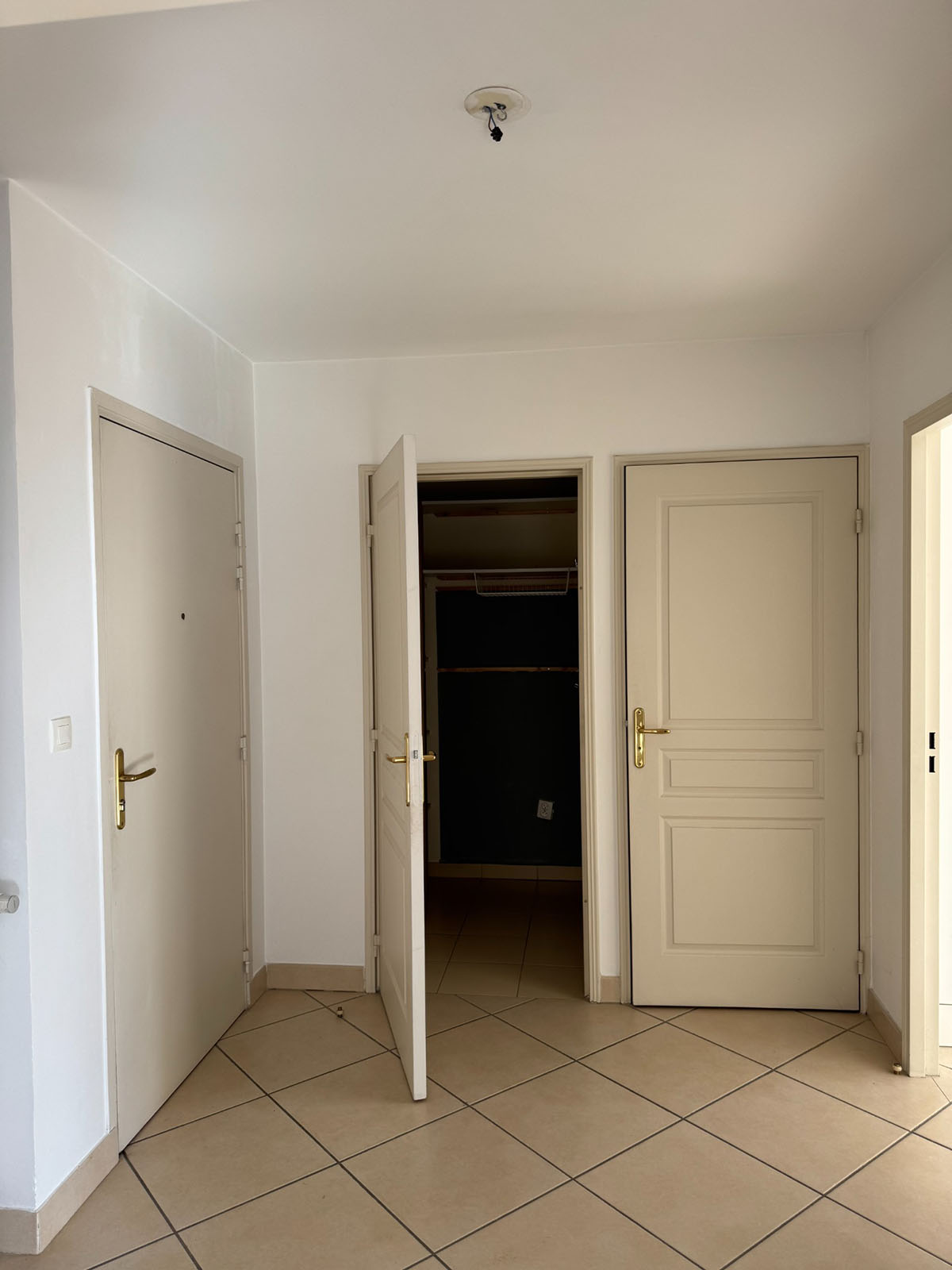 Projet Décoration Les Roses par Emilie Lombardo – Photo pendant le chantier – 2